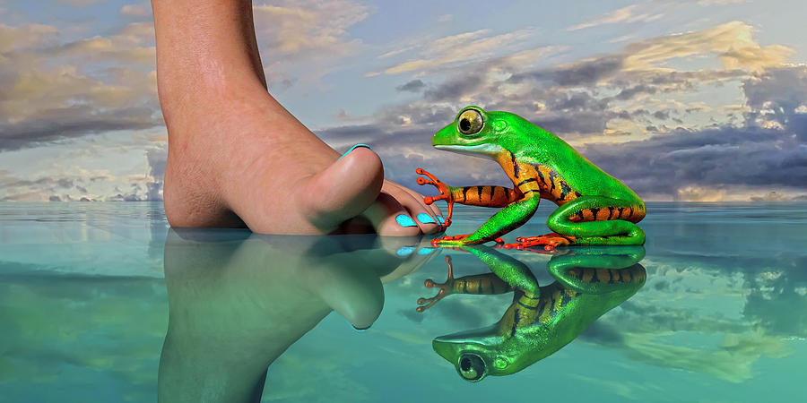 Amazon Tree Frog Curiosity Digital Art