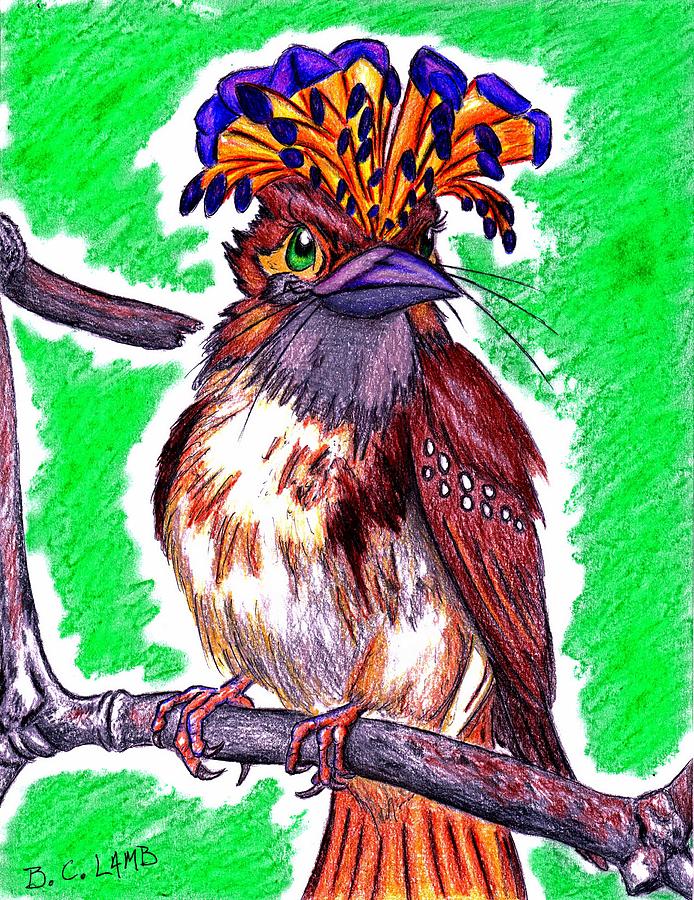 Amazonian Flycatcher Drawing by Bryant Lamb Fine Art America