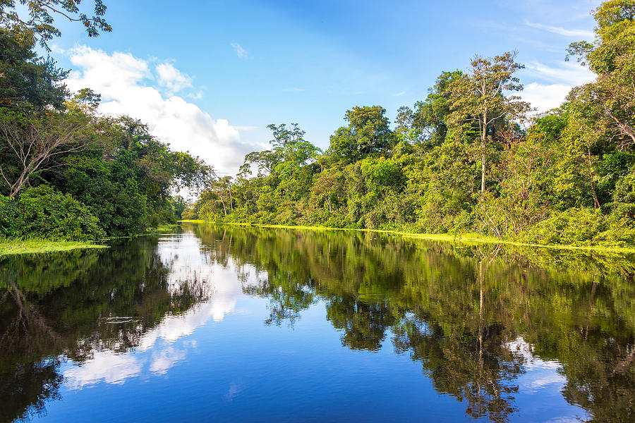 Amazonian Reflection Photograph by Jess Kraft - Fine Art America