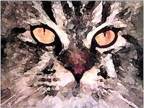 Cats Mixed Media - Amber by Brenda Garacci Cats Mixed Media - Amber by Brenda Garacci