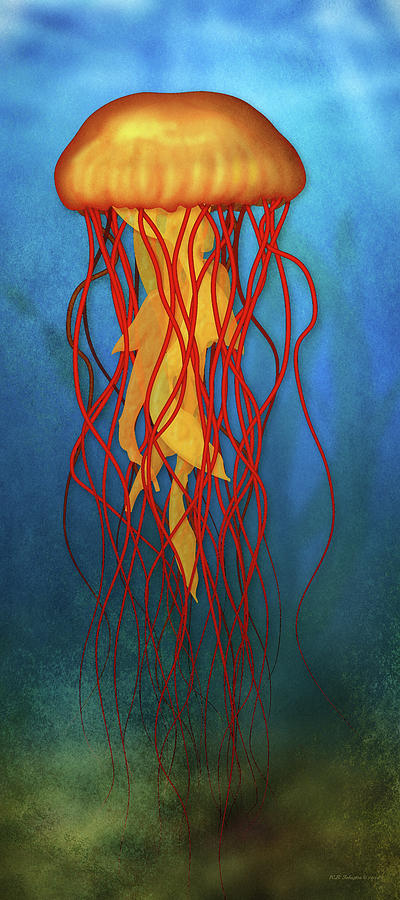 Amber Jellyfish Digital Art by WB Johnston