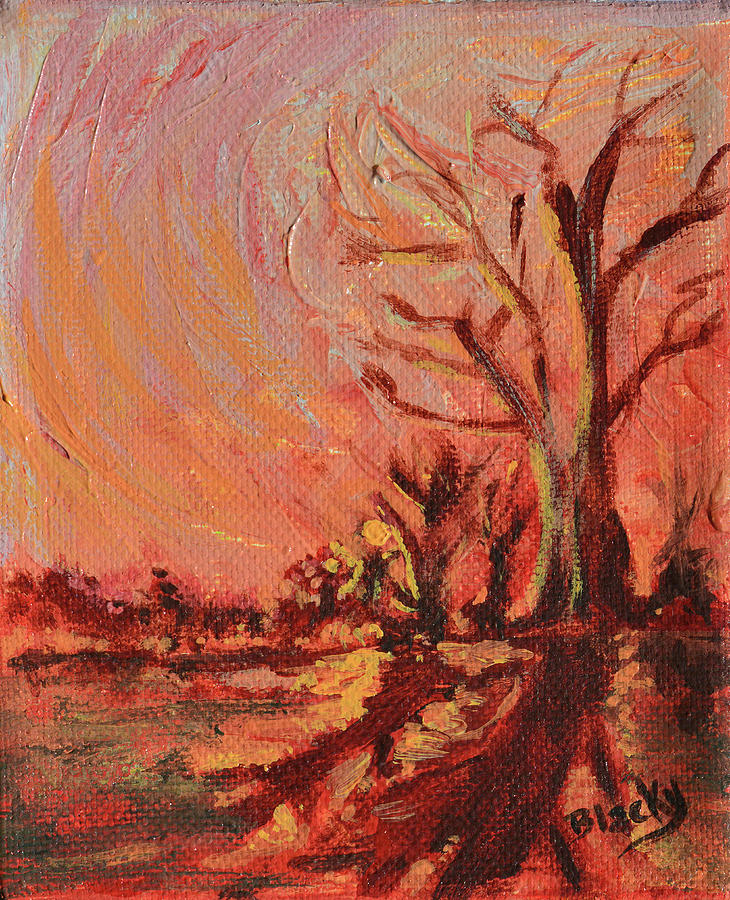 Amber Skies Painting by Donna Blackhall