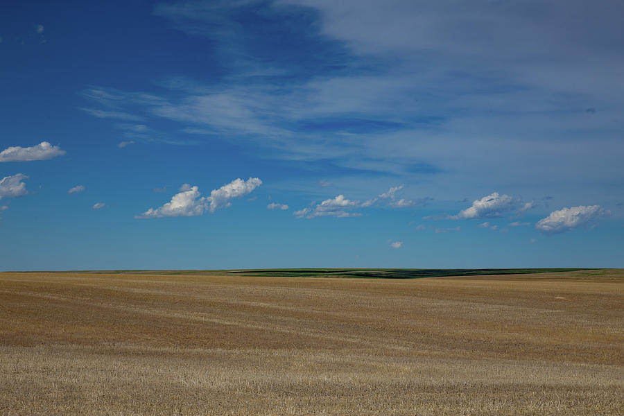 Amber Waves of Grain Photograph by Bridget Calip - Fine Art America