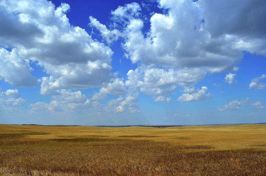 Amber Waves Of Grain Photograph by Pamela Romjue | Fine Art America