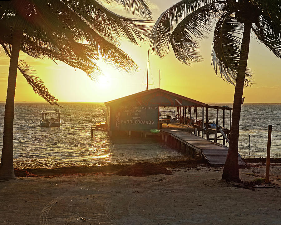 Ambergris Cayr Sunrise Palm Trees San Pedro Belize Photograph by Toby McGuire