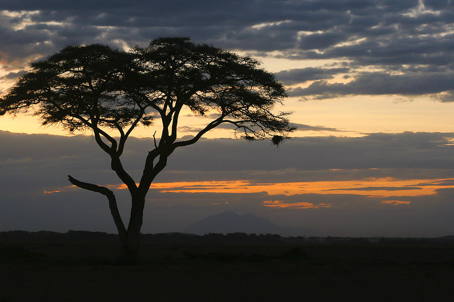Amboseli Sunset Photograph by Gary Hall