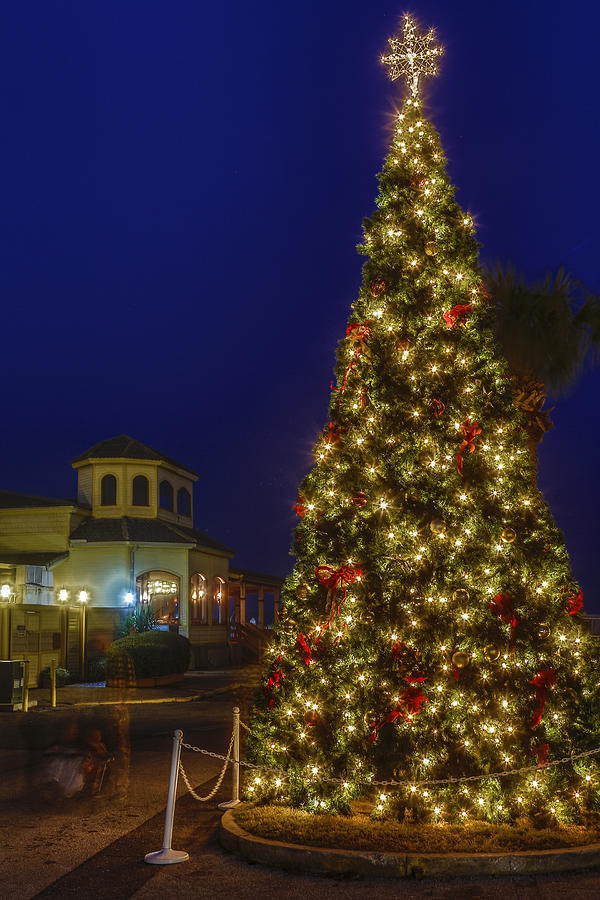 Fernandina Beach Christmas Tree Photograph by Paula PorterfieldIzzo