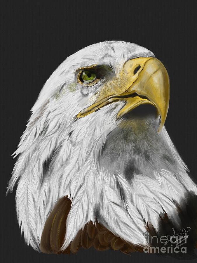 murica eagle crying