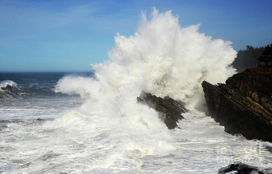 The Beauty Of Oregon 3 Photograph by Bob Christopher - Fine Art America