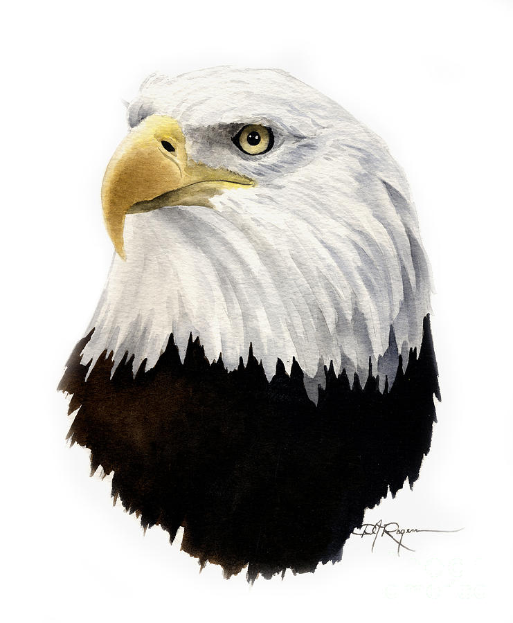 Eagle Painting - American Bald Eagle by David Rogers