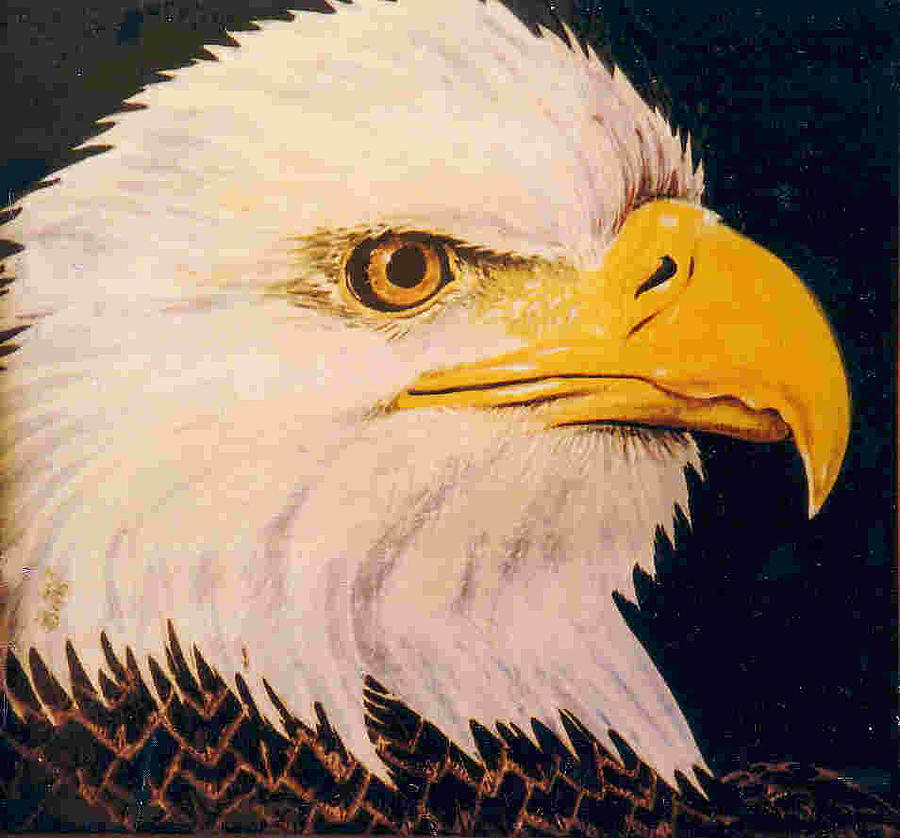 Eagle Artwork