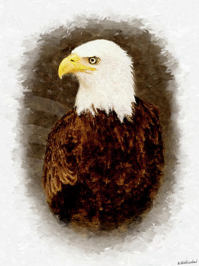 American Bald Eagle - Flagged Version Photograph by Weston Westmoreland