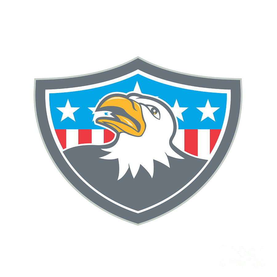 American Bald Eagle Head Flag Shield Cartoon Digital Art by Aloysius ...