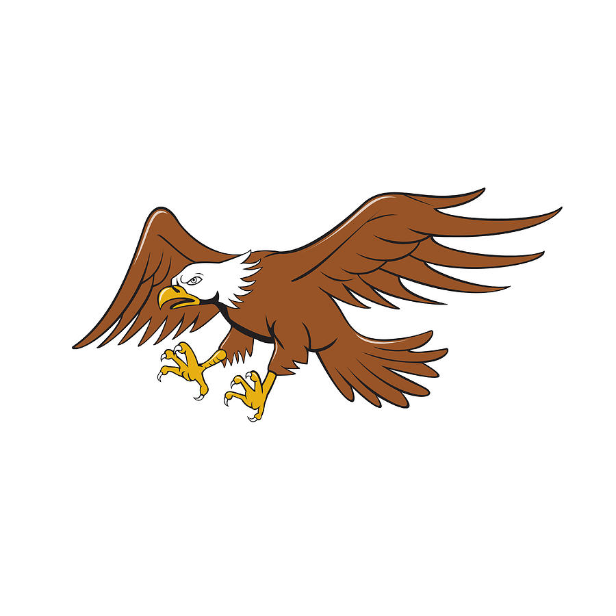American Bald Eagle Swooping Cartoon Digital Art by Aloysius Patrimonio -  Pixels