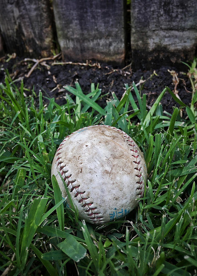 American Baseball Photograph by Nathan Little