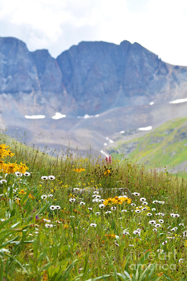 American Basin by Kate Avery American Basin by Kate Avery