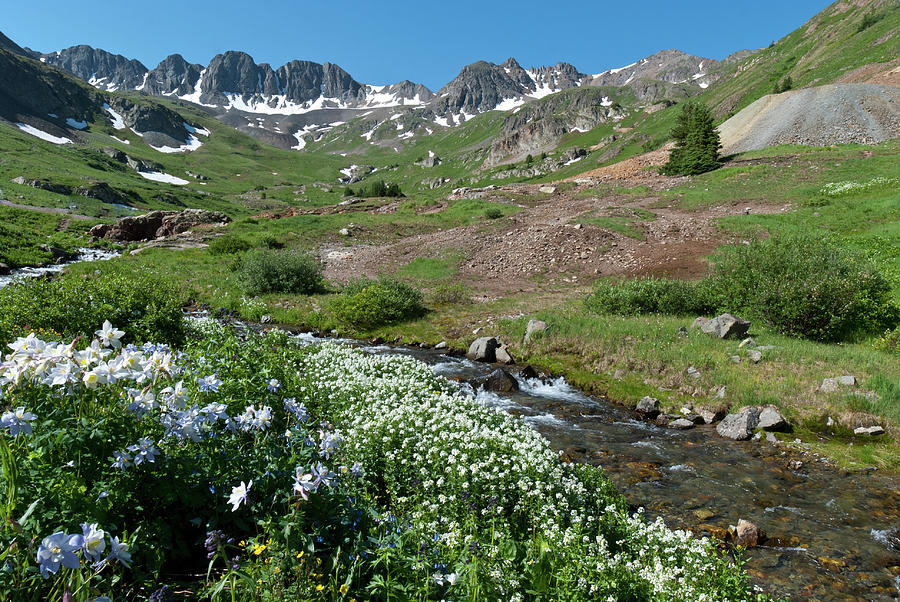 American Basin Summer Splendor Photograph by Cascade Colors