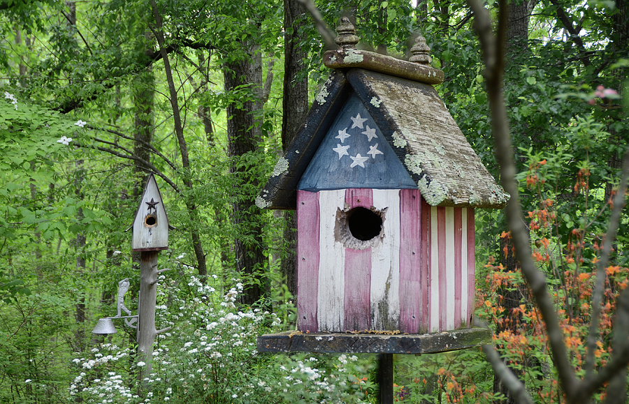 American Birdhouse Photograph by Steven Michael
