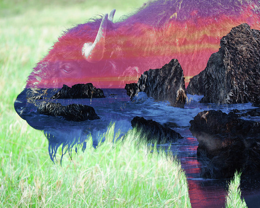 American Bison and El Matador Beach Sunset Double Exposure Photograph by Kyle Hanson