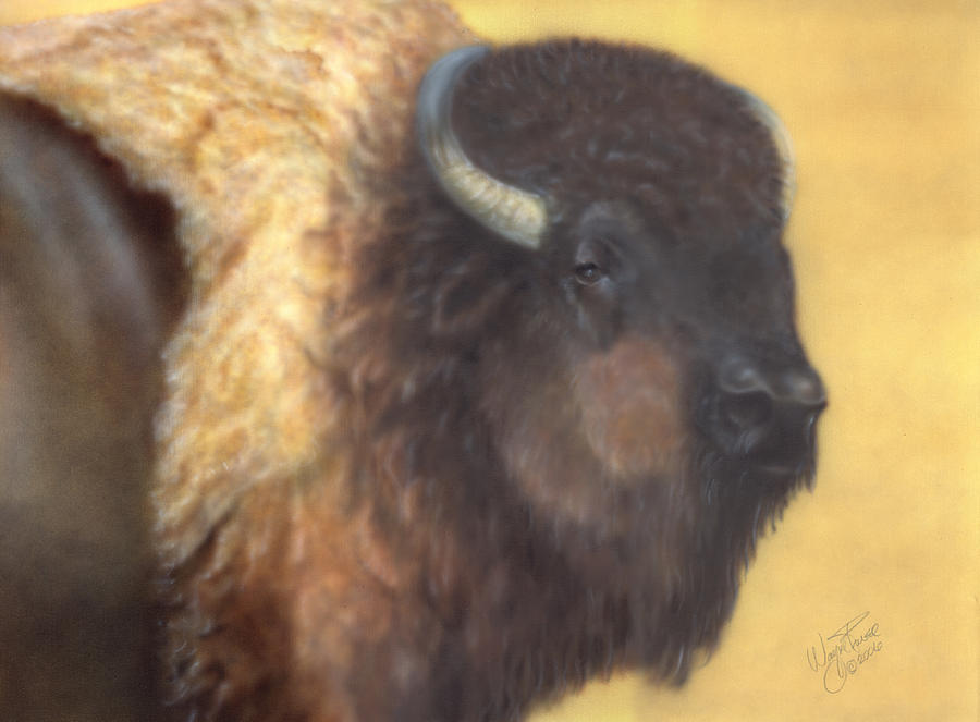 American Bison Painting by Wayne Pruse