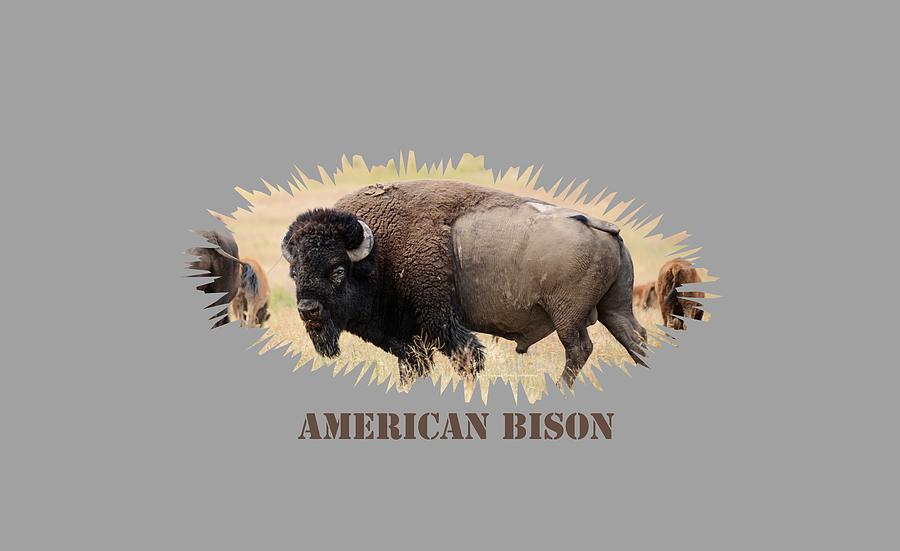 American Bison Photograph by Whispering Peaks Photography