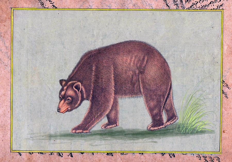 American black bear INDIA Vintage Miniature Painting watercolor Artwork Painting by B K Mitra