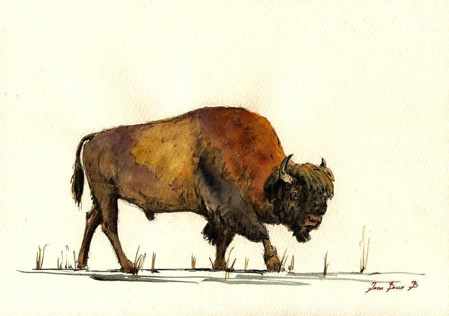 Buffalo Painting - American buffalo watercolor by Juan  Bosco