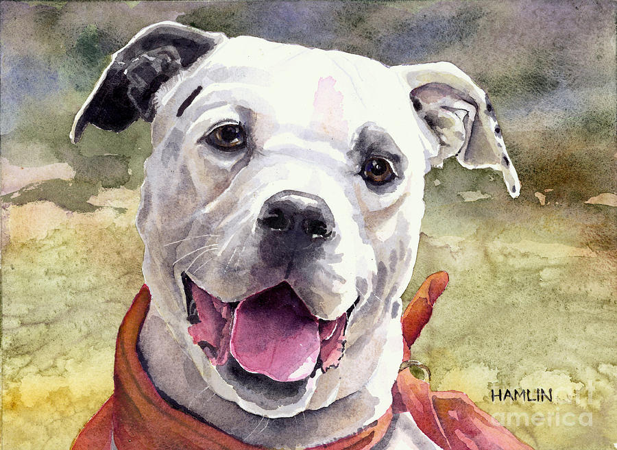 American Bulldog - Casper Painting by Steve Hamlin