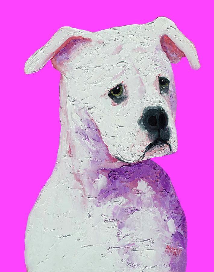 American Bulldog on pink Painting by Jan Matson