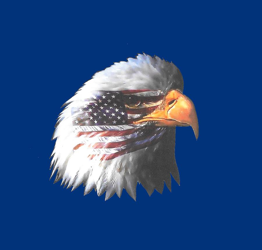 American Eagle T-shirt Painting by Herb Strobino