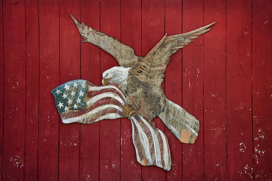 American Eagle Patriotic Art Photograph by Joann Vitali