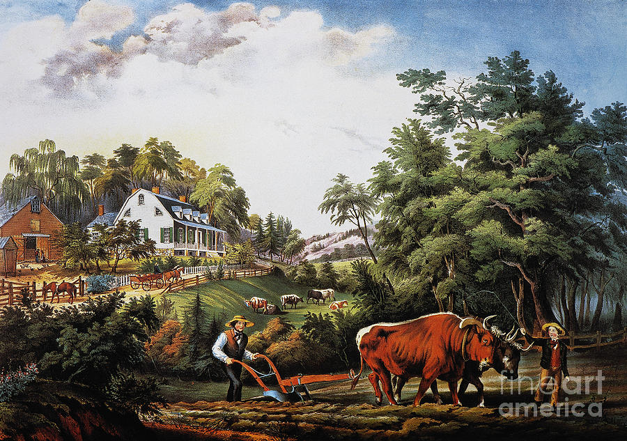 American Farm Scene, 1853 Photograph by Granger