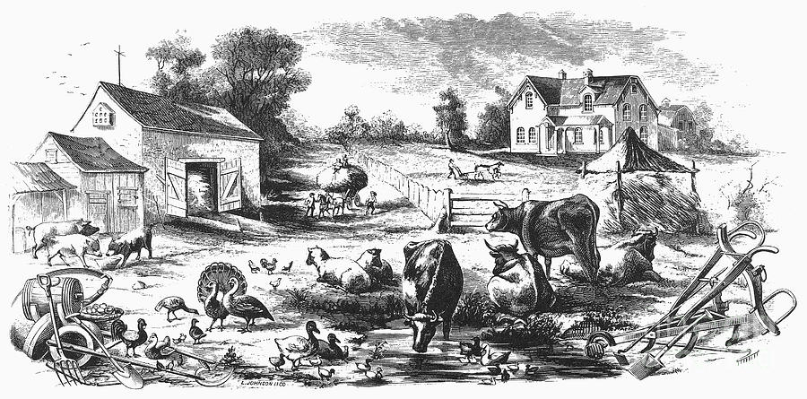 AMERICAN FARMYARD, c1870 Photograph by Granger