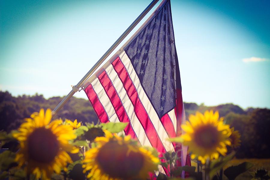 American Flag and Flowers Photograph by Lisa Patrocinio - Fine Art America
