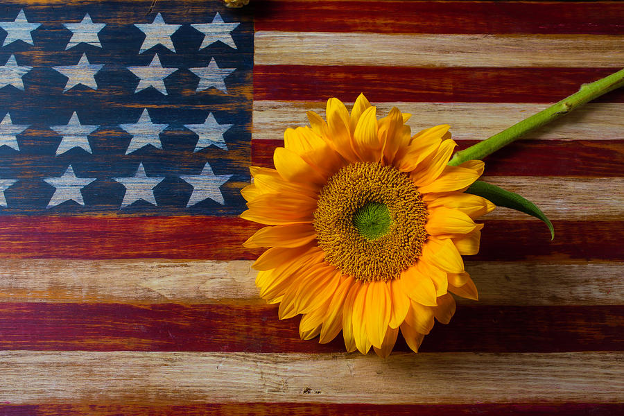Sunflower Photograph - American Flag And Sunflower by Garry Gay