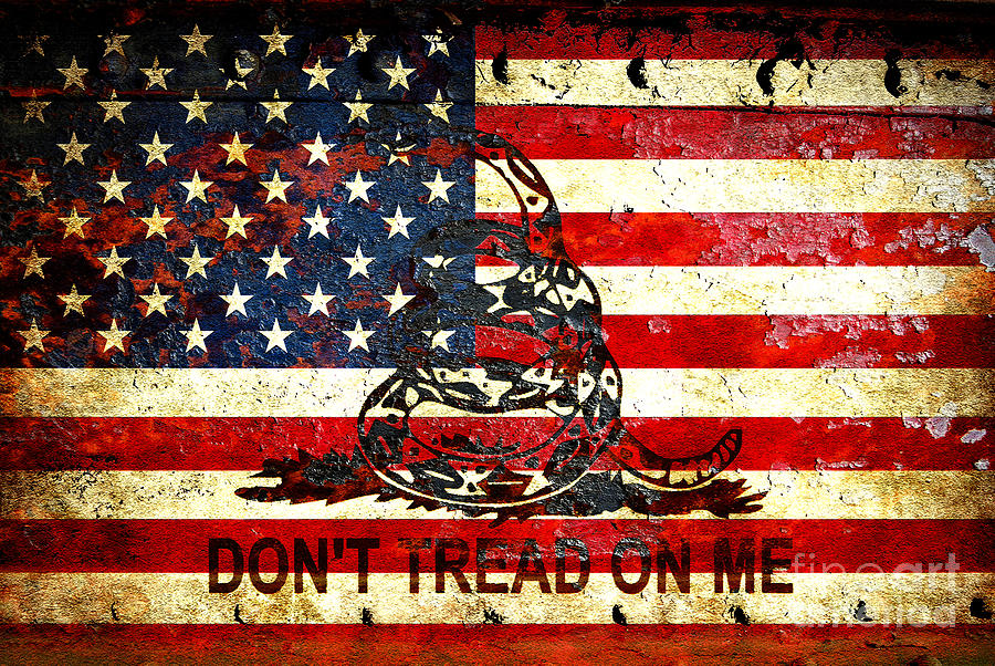 American Flag And Viper On Rusted Metal Door - Dont Tread on Me Digital Art by M L C