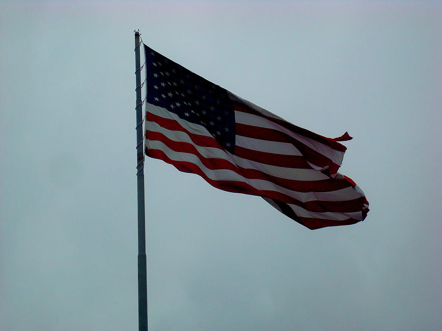 American Flag Photograph by Julie Pappas