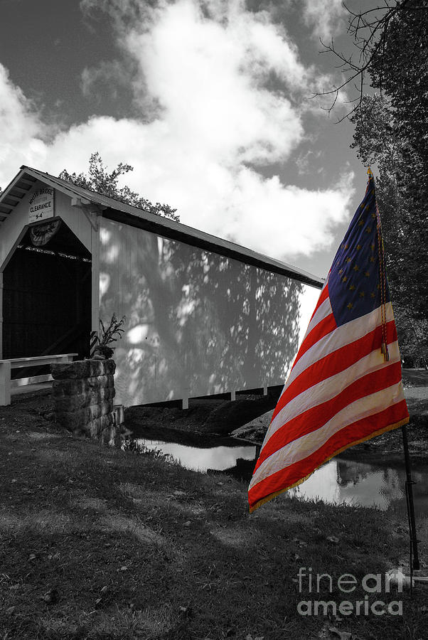 American Flag with Black and White Background #2 Photograph by Kevin Gladwell