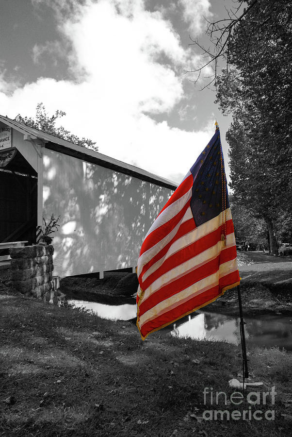 American Flag with Black and White Background Photograph by Kevin Gladwell