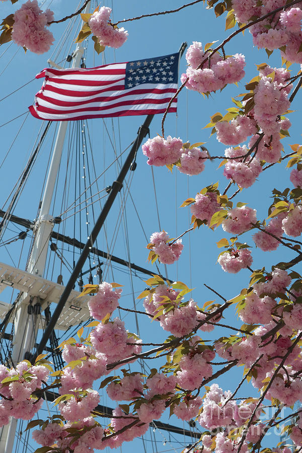 American Flag with Cherry Blossoms Photograph by Carol Groenen