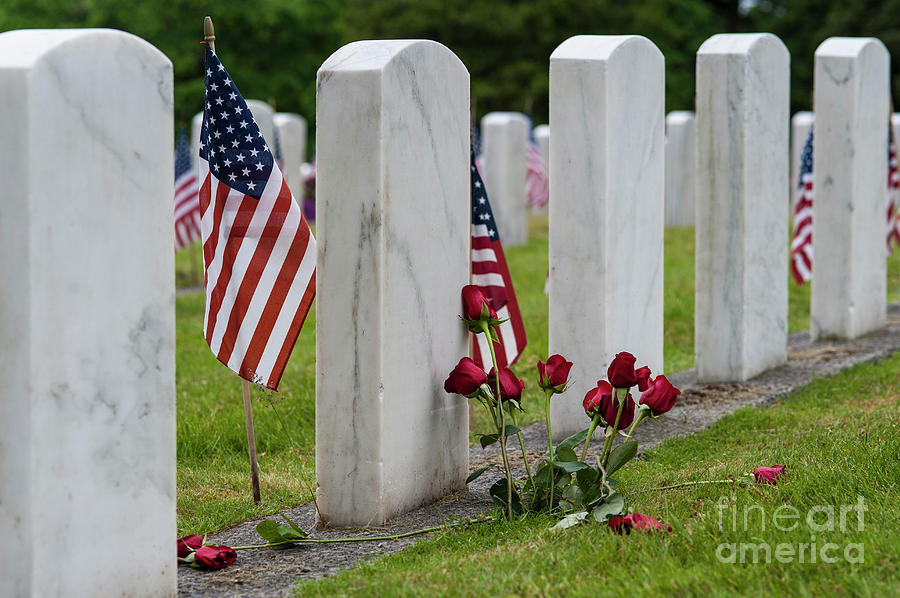 American Flags at Cemetery Photograph by Jim Corwin