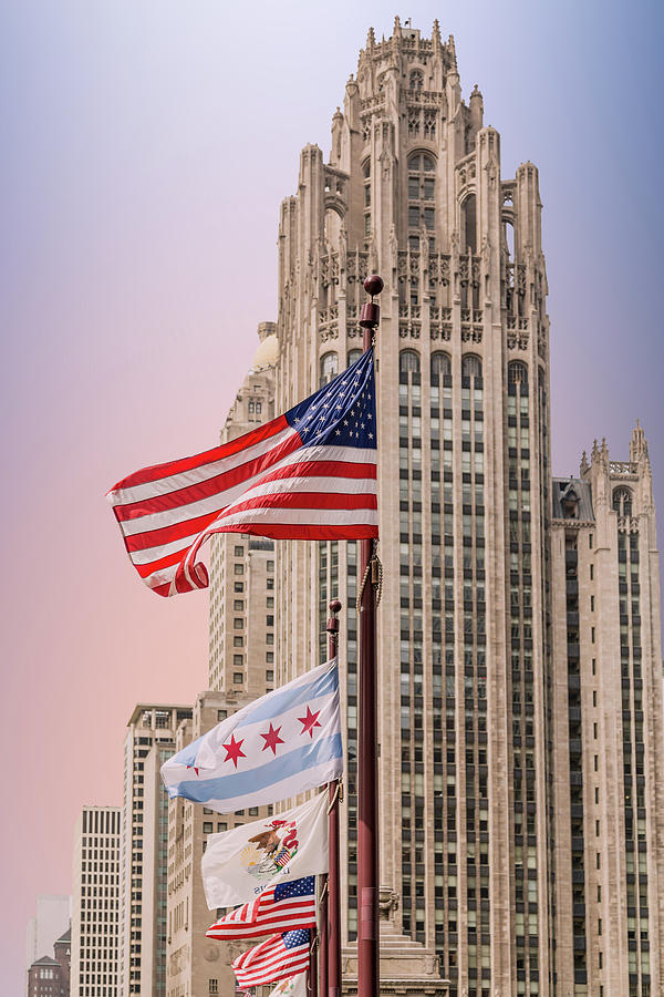 American Flags by Chicago Tower Photograph by Darryl Brooks