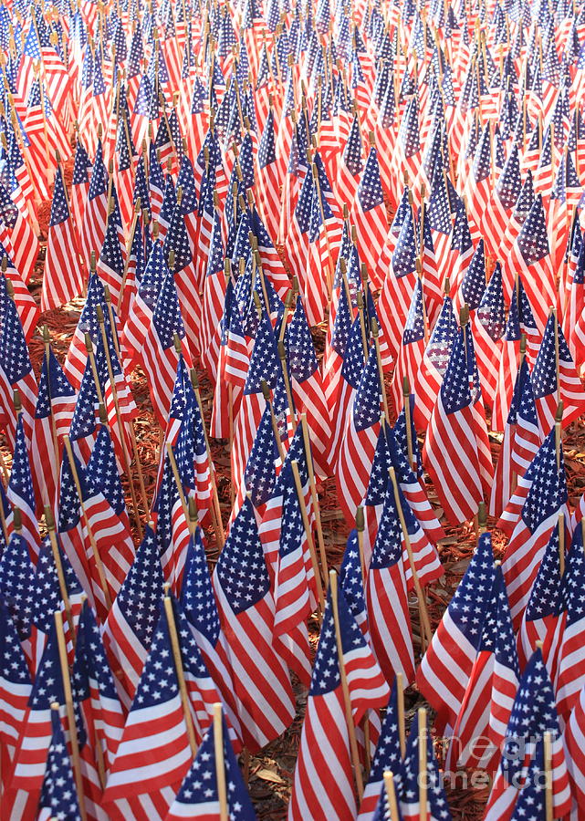 American Flags in Tampa Photograph by Carol Groenen