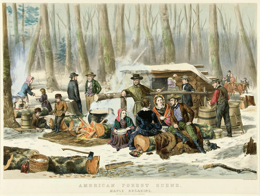 Currier And Ives Painting - American Forest Scene Maple Sugaring by Currier and Ives