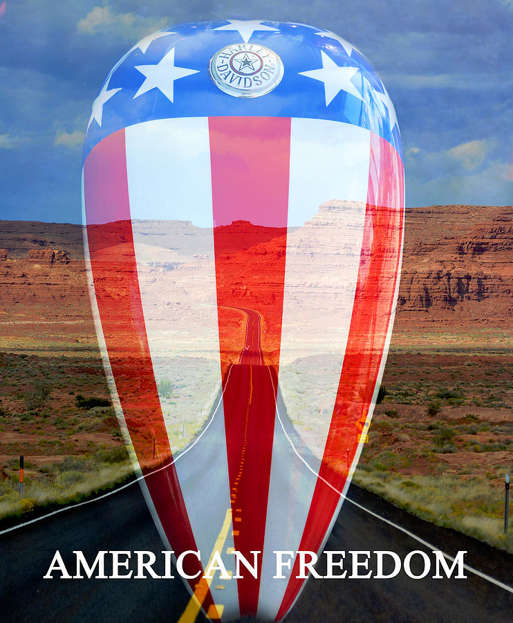 American Freedom Photograph by David Lee Thompson
