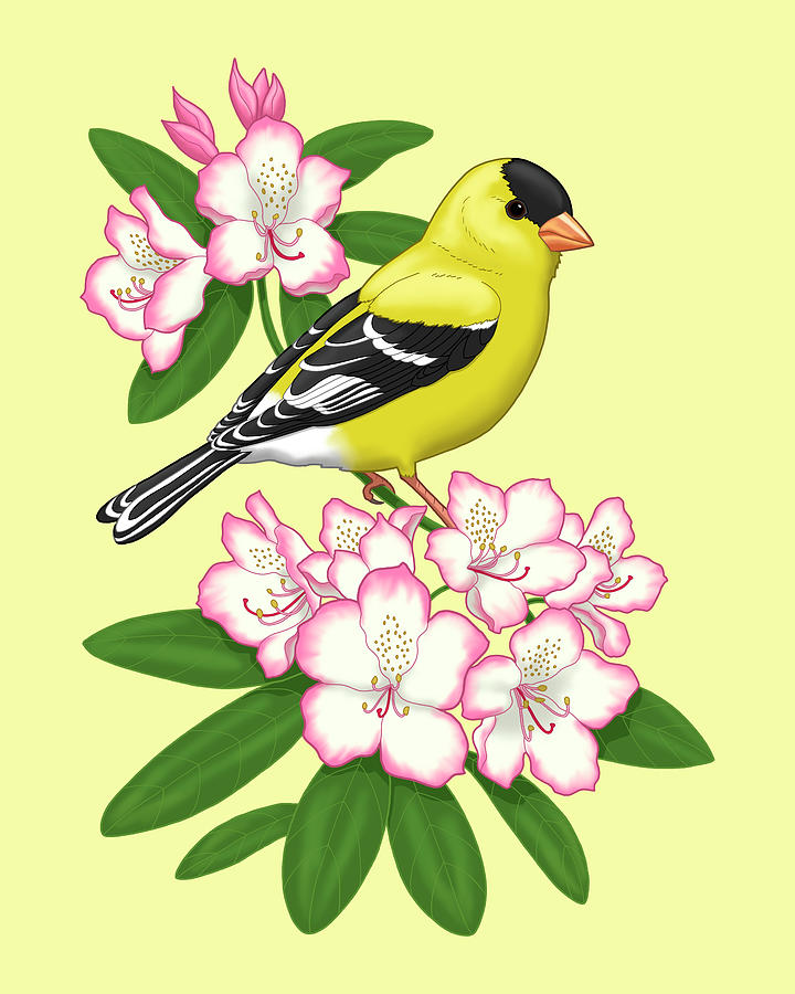 American Goldfinch and Coast Rhododendron Painting by Crista Forest