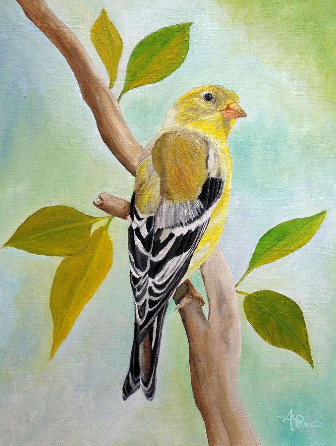 Pretty American Goldfinch Painting by Angeles M Pomata