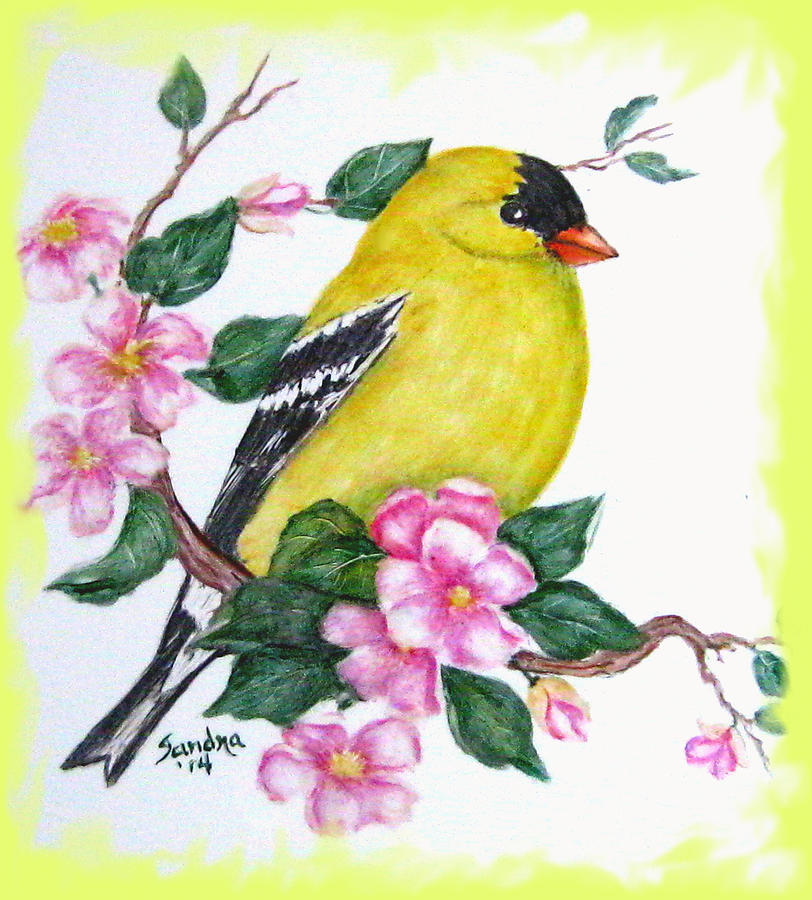 Flower Painting - American Goldfinch by Sandra Maddox