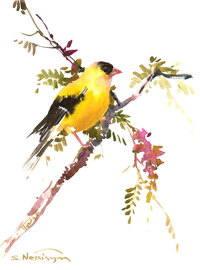 American Goldfinch Painting by Suren Nersisyan