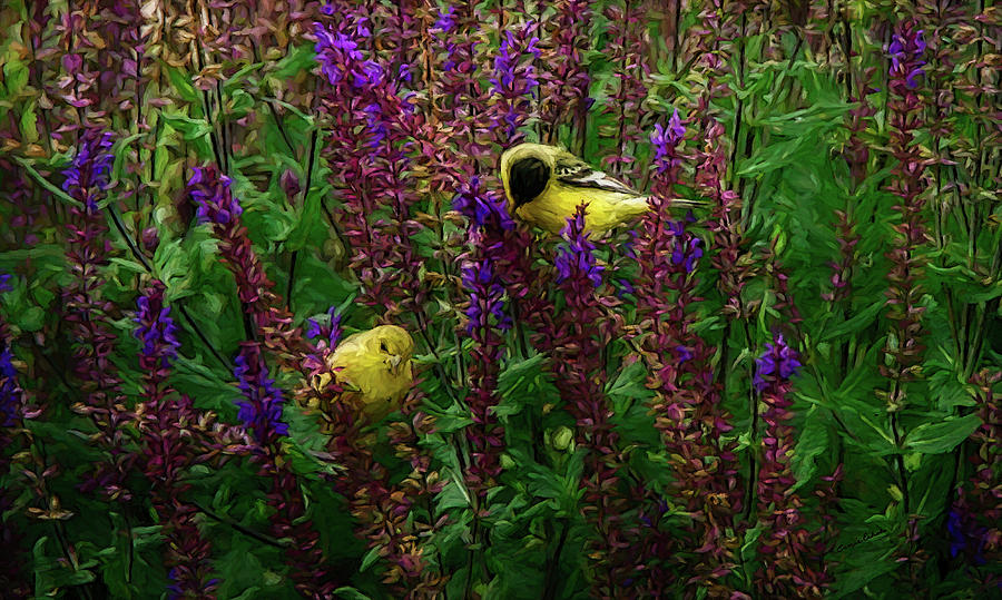 American Goldfinches Digital Art by Ernest Echols